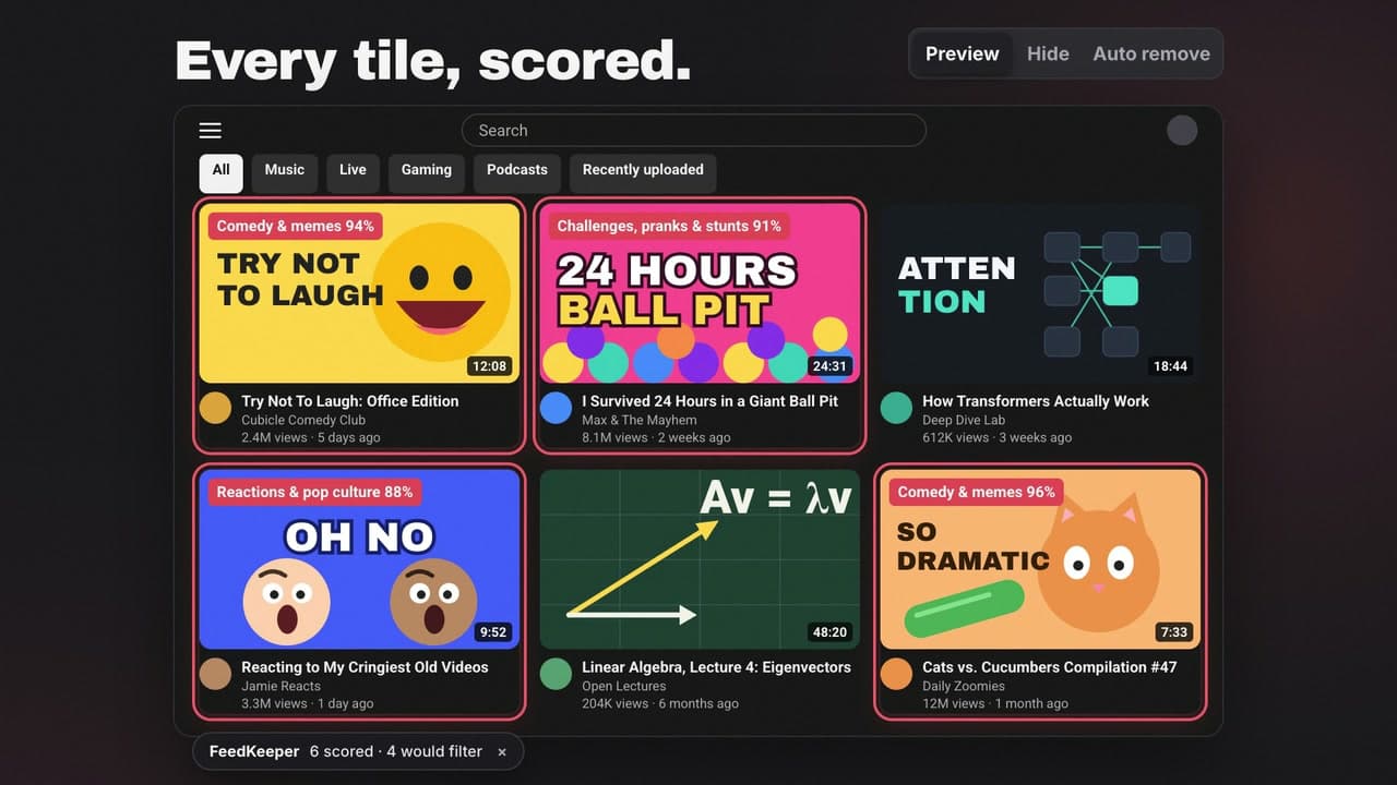 Preview mode: matching videos get a red outline and a decision badge